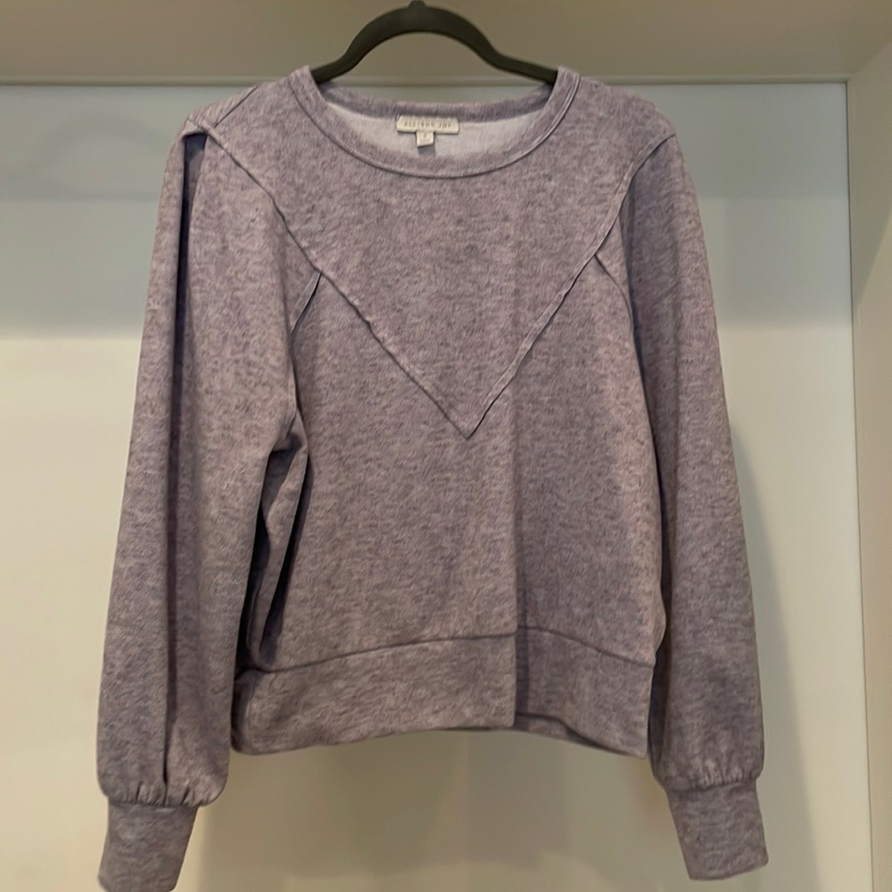 Super soft Oversized cropped sweatshirt- Allison Joy brand from Evereve, size s